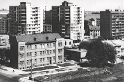 kolofikogvo (14)